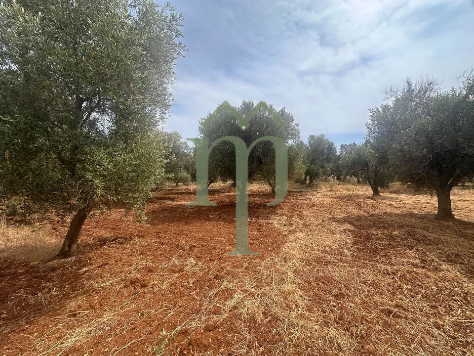 Ruinere i Carovigno, Brindisi - foto 5